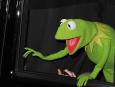 Kermit