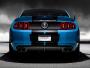Mustang shelby GT500 model 2013