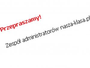 Nasza-klasa padła. I wstała
