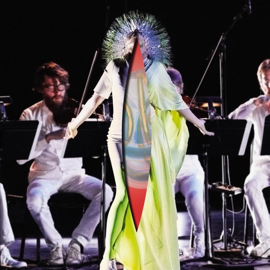 "Vulnicura Strings" – Björk